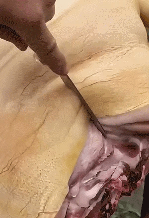 Cuchillo de Frutas Portátil Todo Terreno