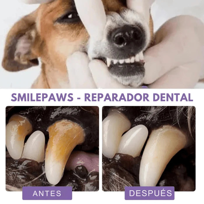 SmilePaws - Reparador Dental para Mascotas