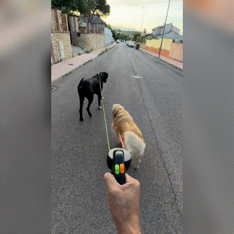 Correa Doble Sin Enredos